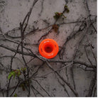 Lucky Wheels - Orange Moon Cakes - 60mm / 80a (Set of 4 Wheels)____True Supplies